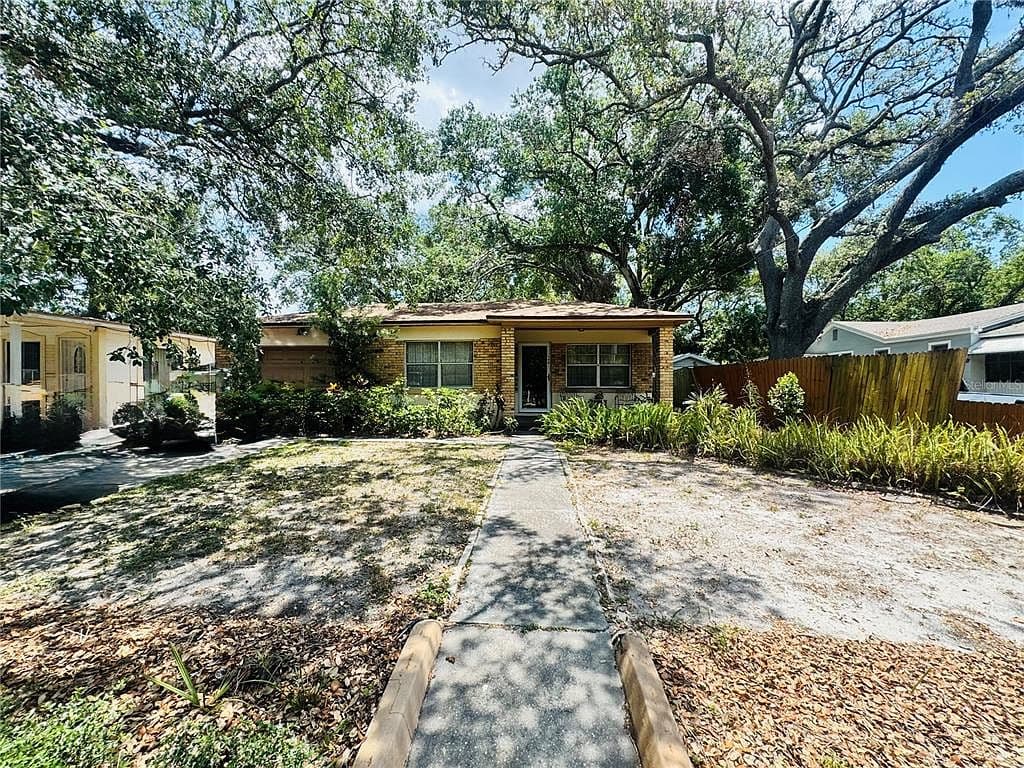 Overgrown Landscaping