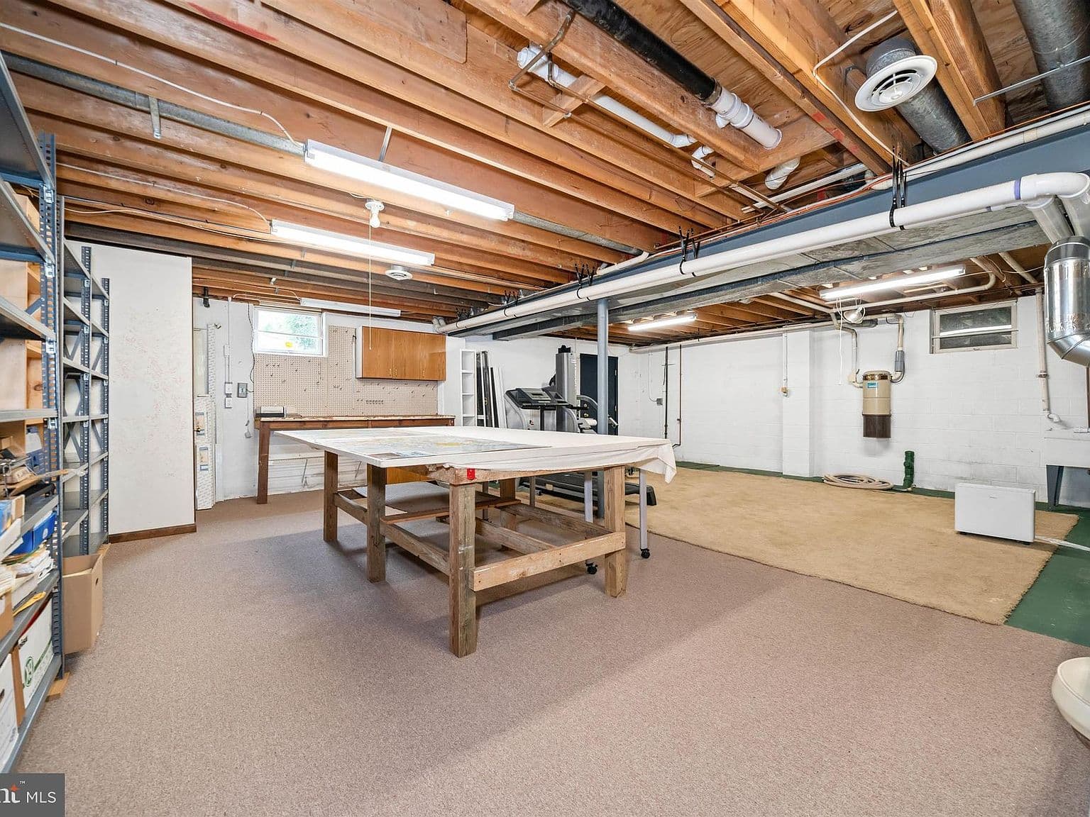 Unfinished Basement Area