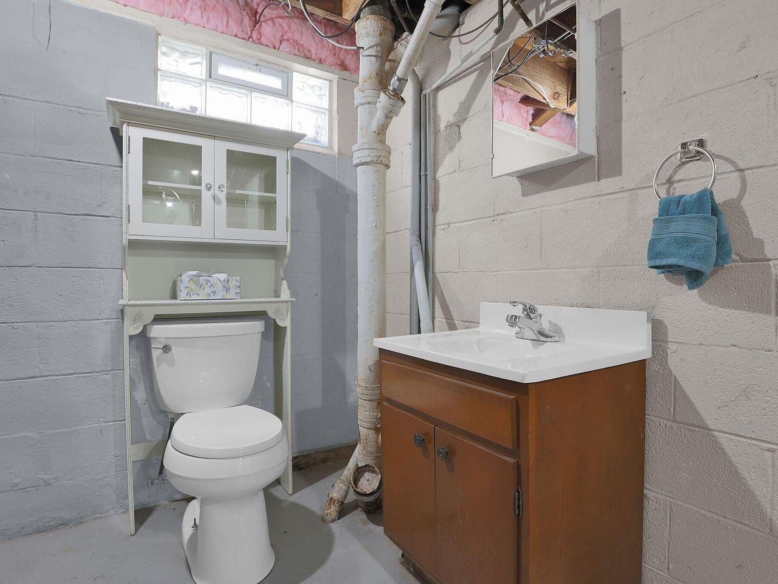 Outdated Basement Bathroom