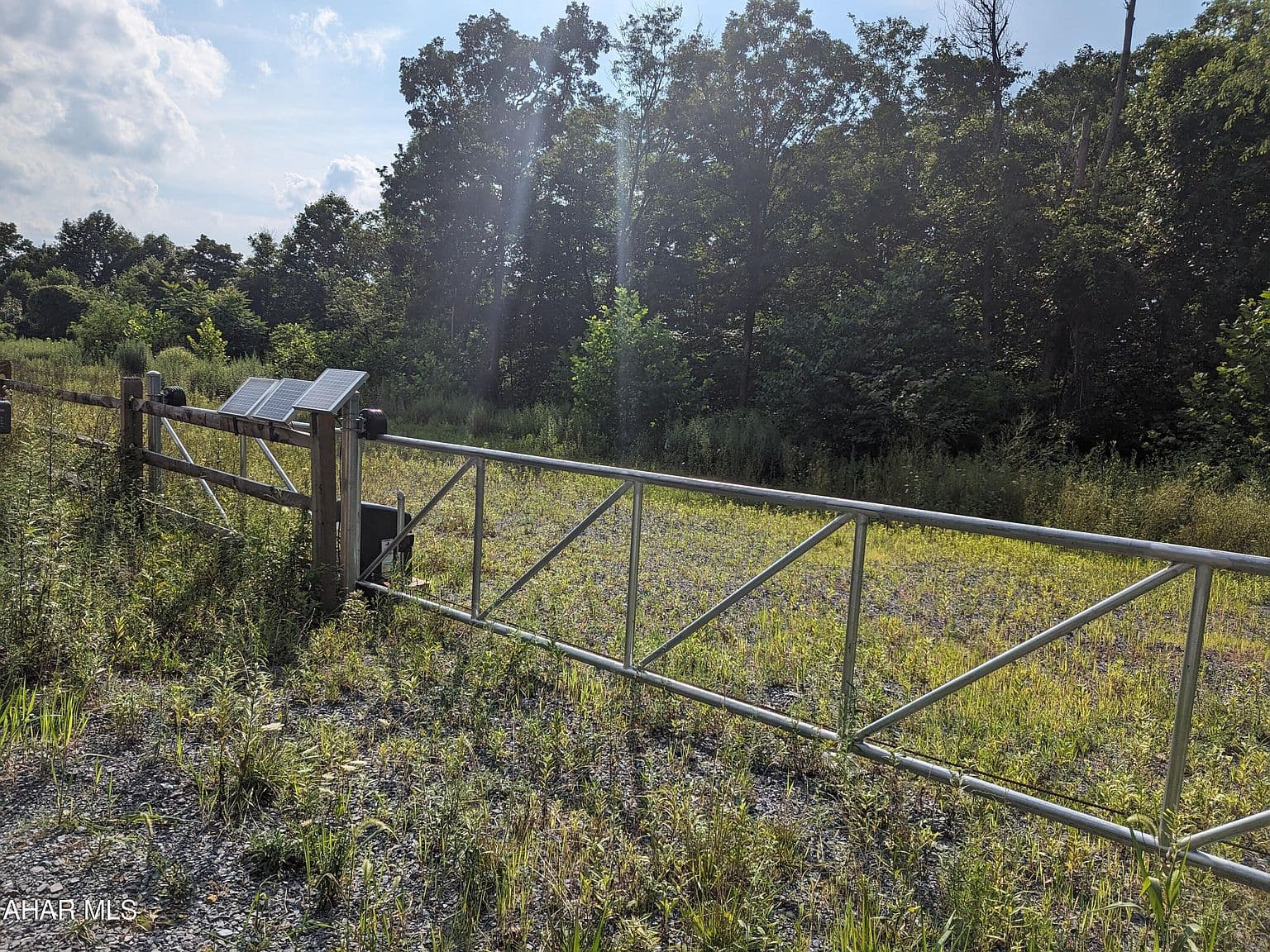 Overgrown Vegetation