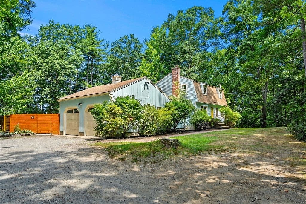 Overgrown Landscaping