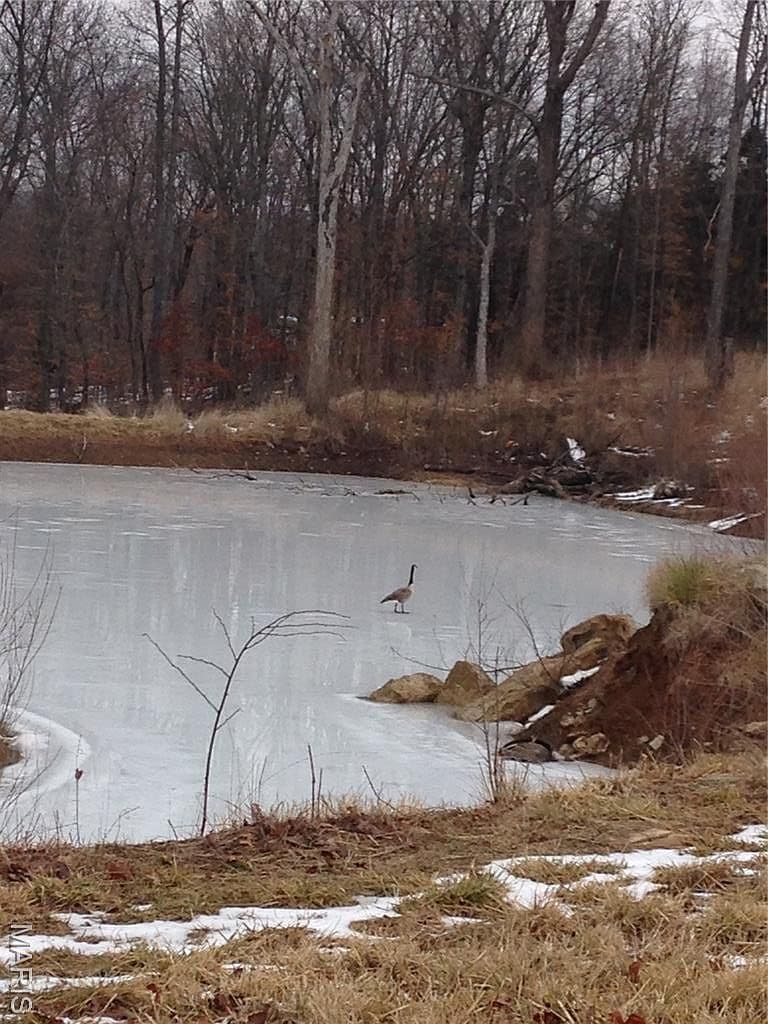 Frozen Pond
