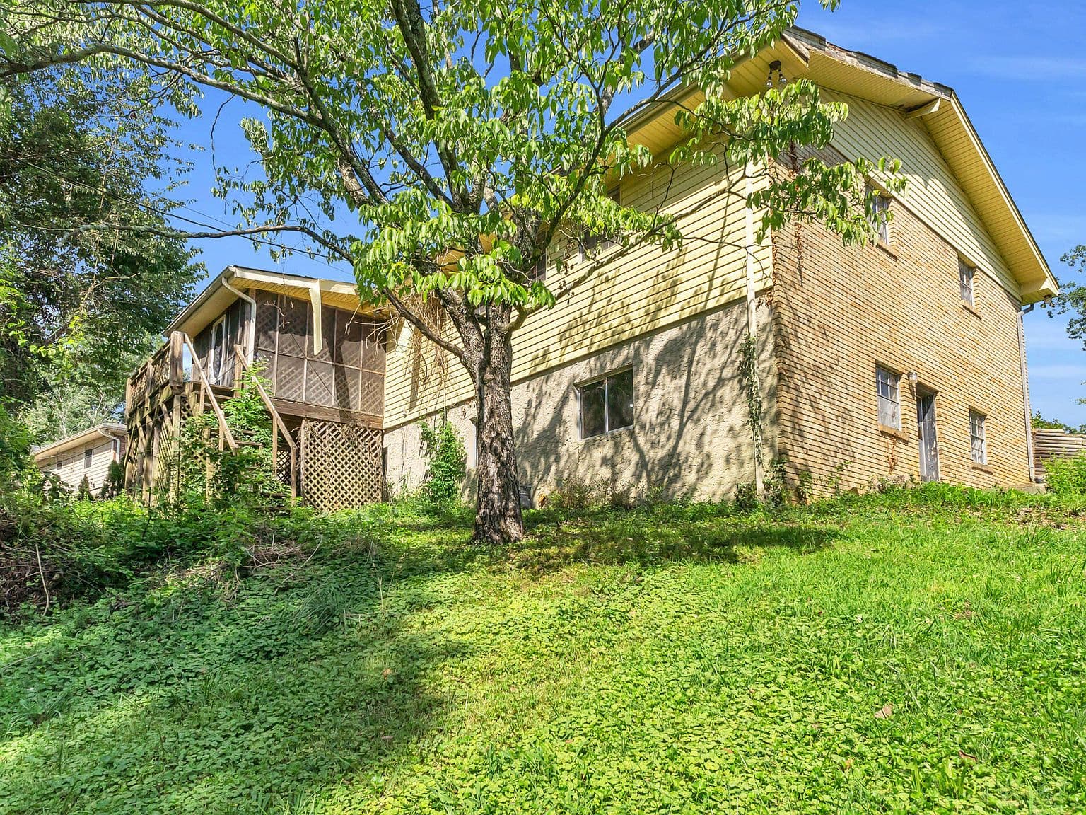 Vegetation on Foundation