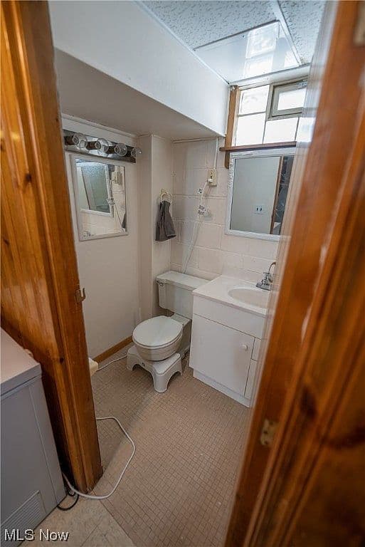 Basic Basement Bathroom