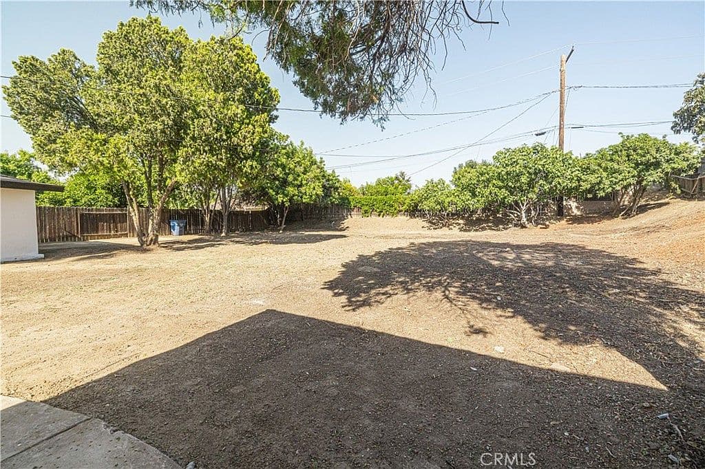 Unlandscaped Backyard