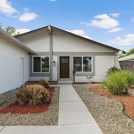 Overgrown Landscaping